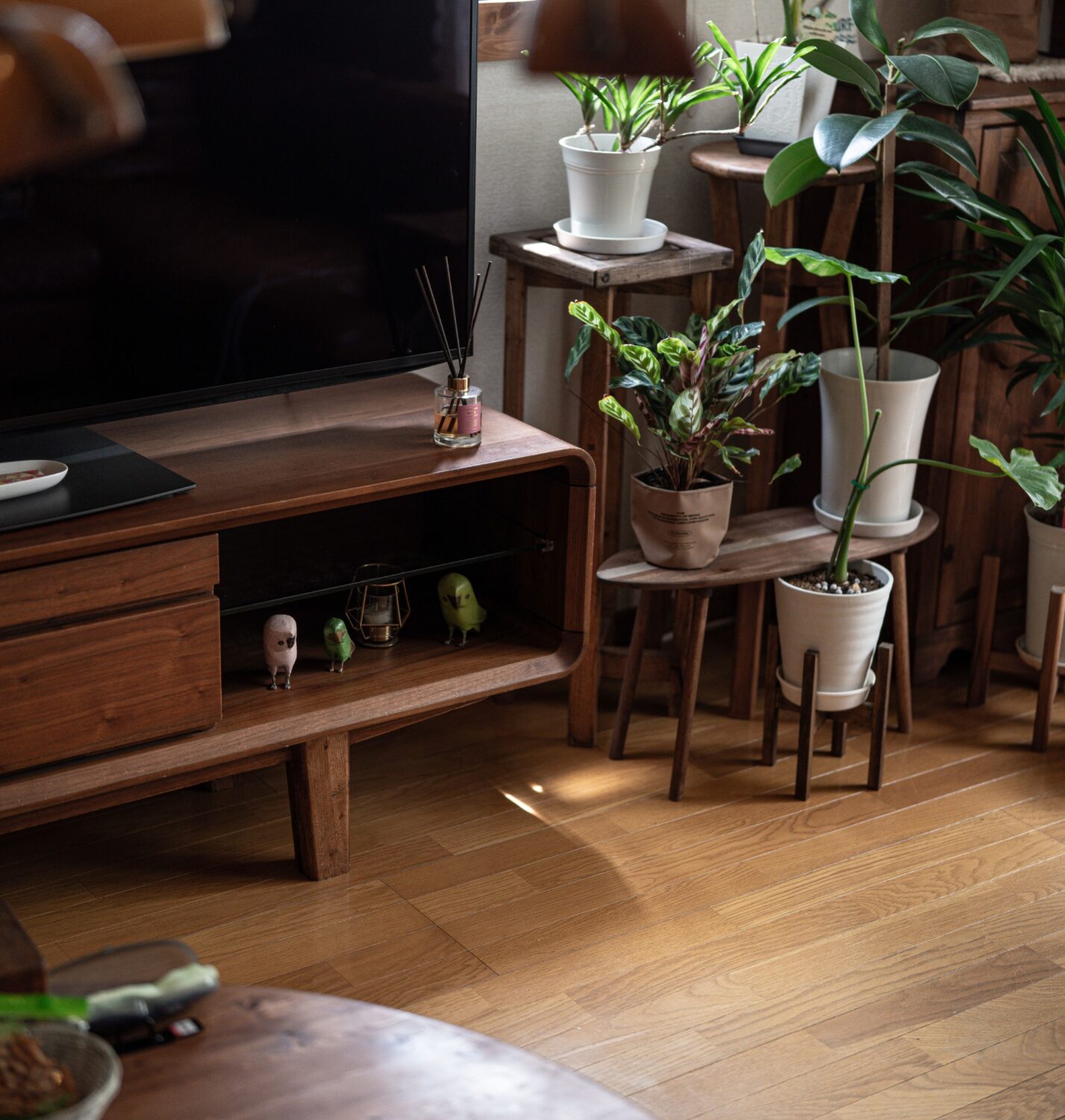 植物や古い木の家具と並んで部屋に馴染む、リメイクしたテレビボード